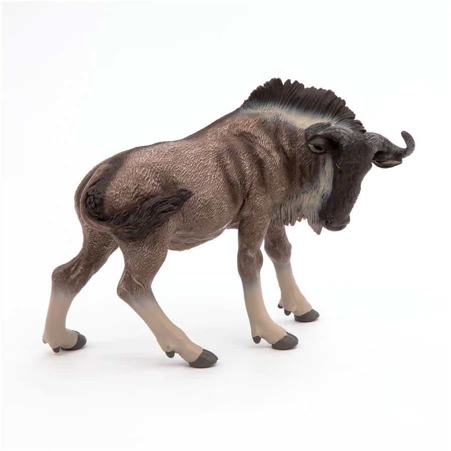 PAPO GNU 50101