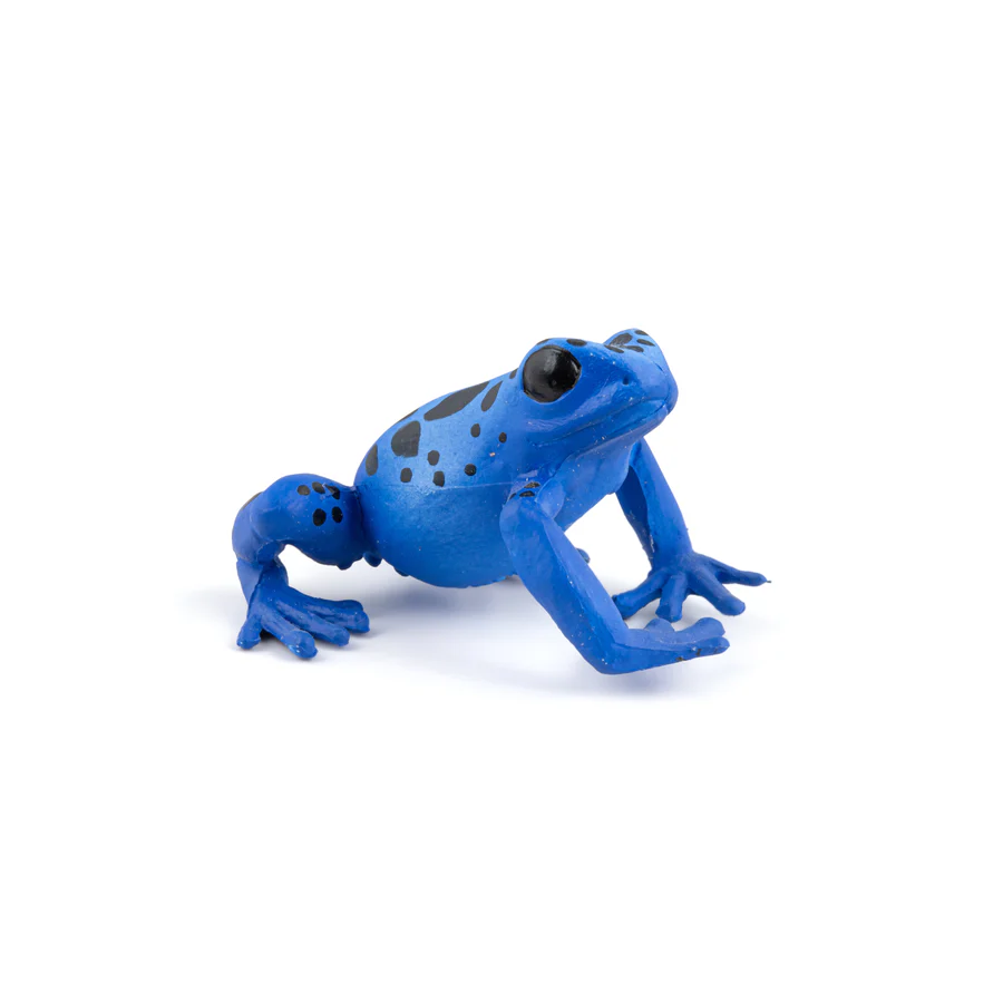 PAPO RANA BLU 50175