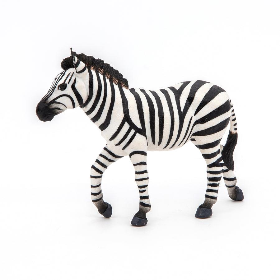 PAPO MASCHIO DI ZEBRA 50249