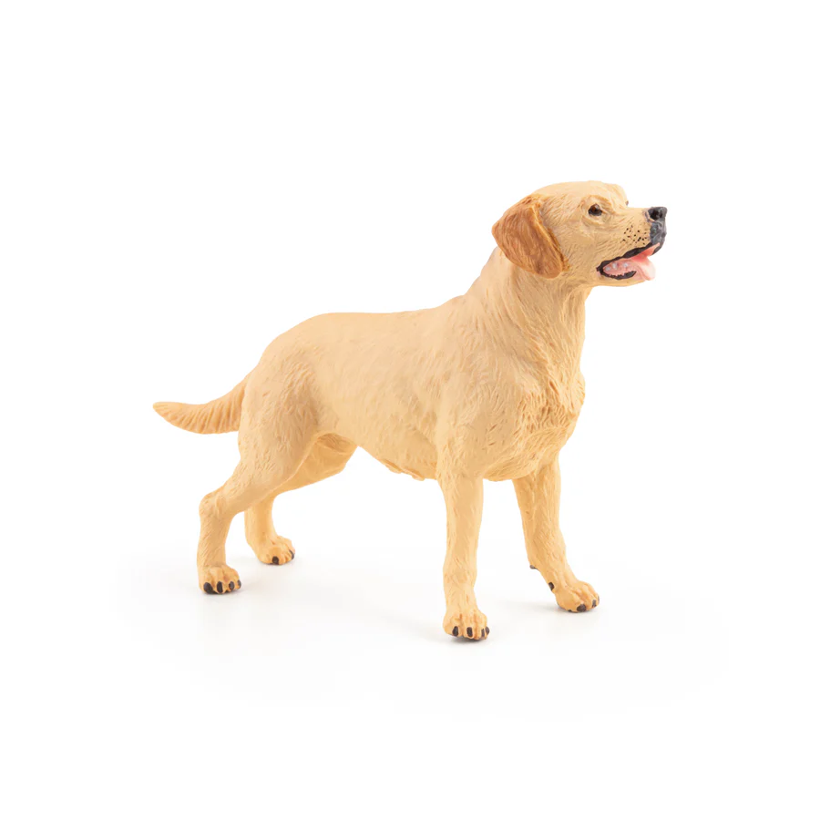 PAPO LABRADOR 54029