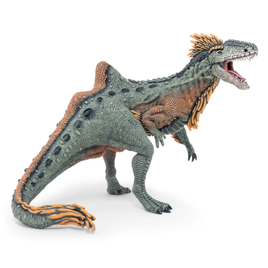 PAPO CONCAVENATOR 55096