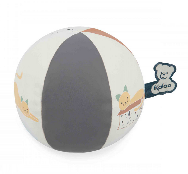 KALOO LA MIA PALLA GATTINO K227011