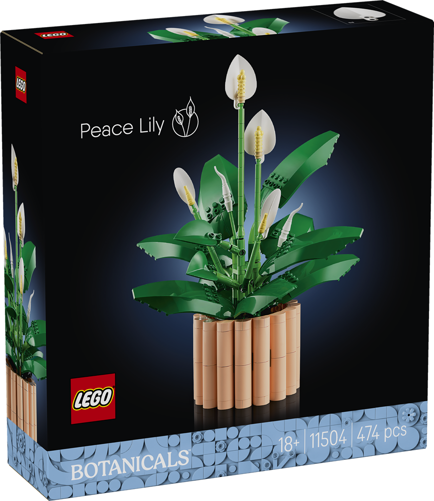 LEGO BOTANICALS SPATIFILLO 11504