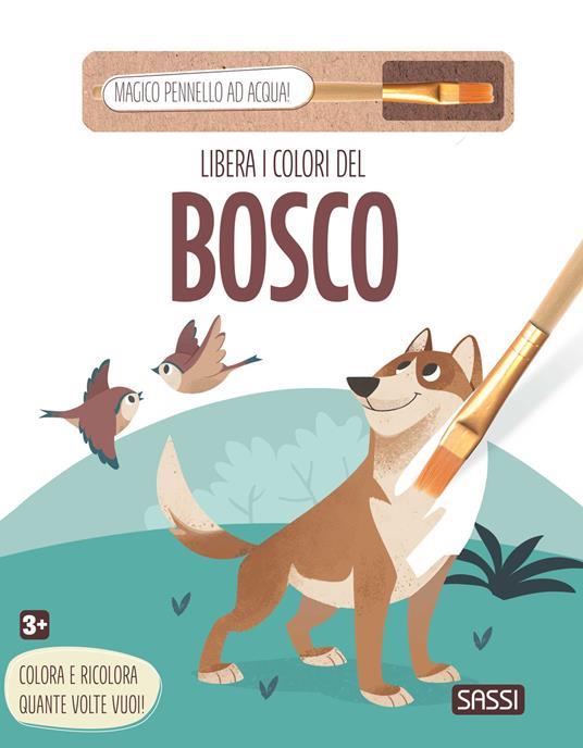 SASSI EDITORE MAGIC INK - LIBERA I COLORI DEL BOSCO (TOAD CREATIVE STUDIOS)