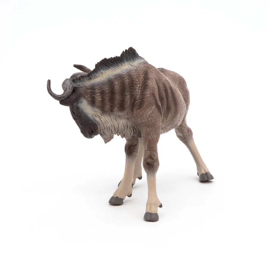 PAPO GNU 50101