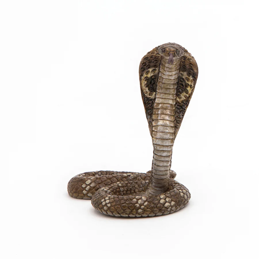 PAPO COBRA 50164