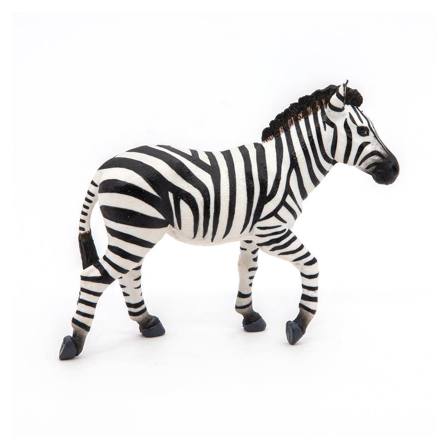 PAPO MASCHIO DI ZEBRA 50249