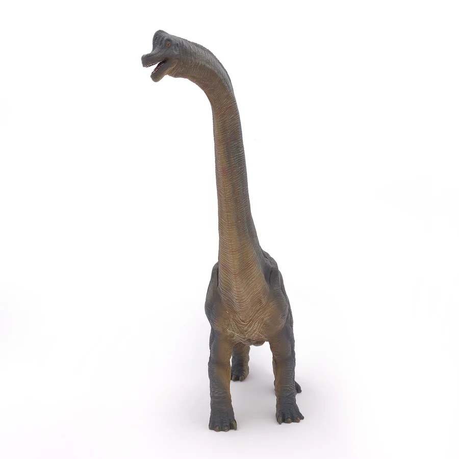 PAPO BRACHIOSAURO 55030