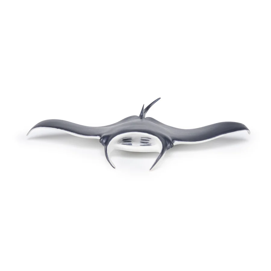 PAPO MANTA 56006