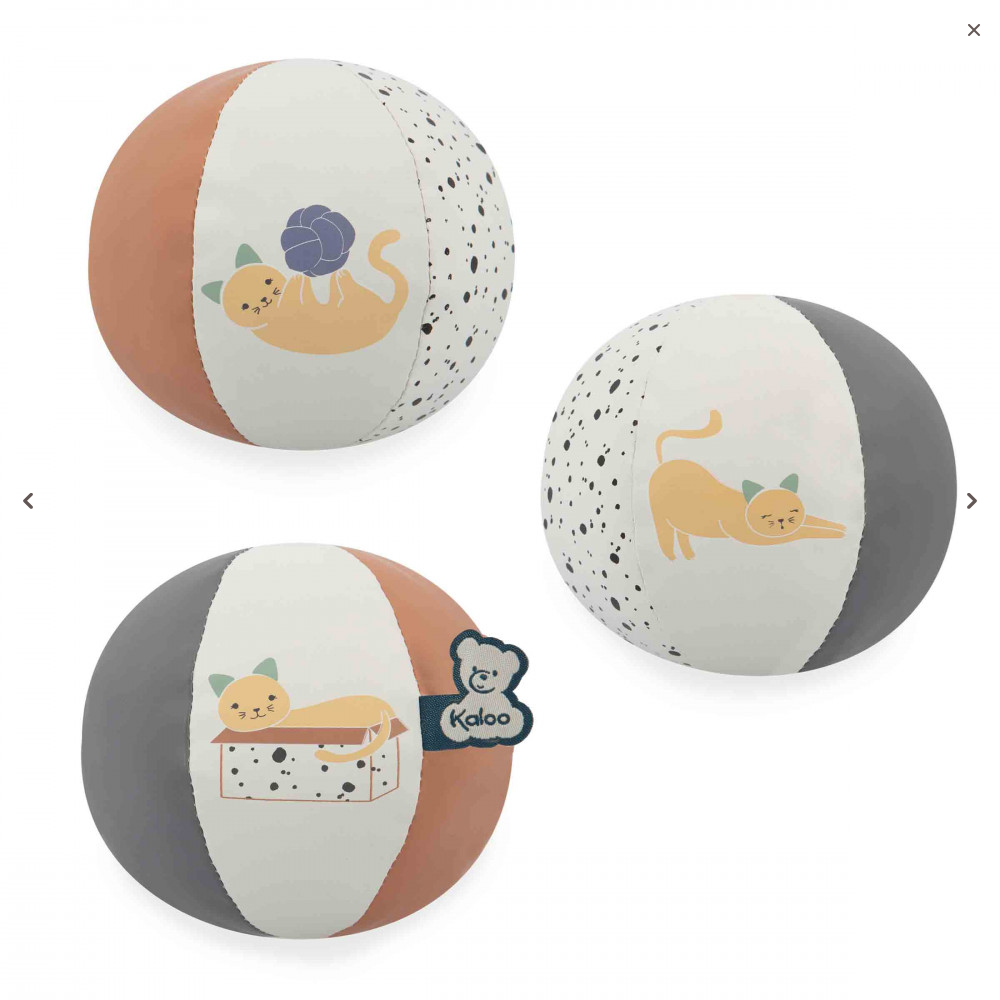 KALOO LA MIA PALLA GATTINO K227011