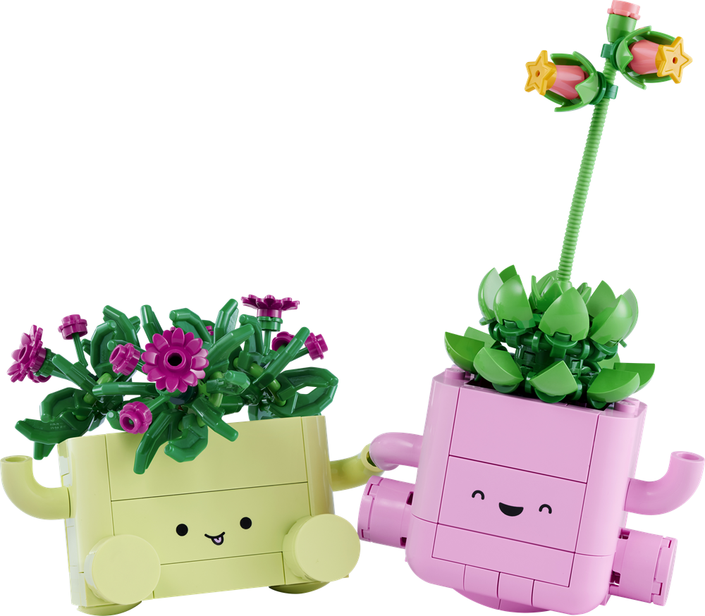 LEGO BOTANICALS PIANTE DONDOLANTI 11506