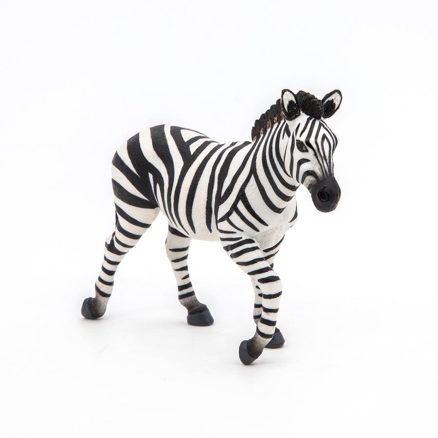 PAPO MASCHIO DI ZEBRA 50249