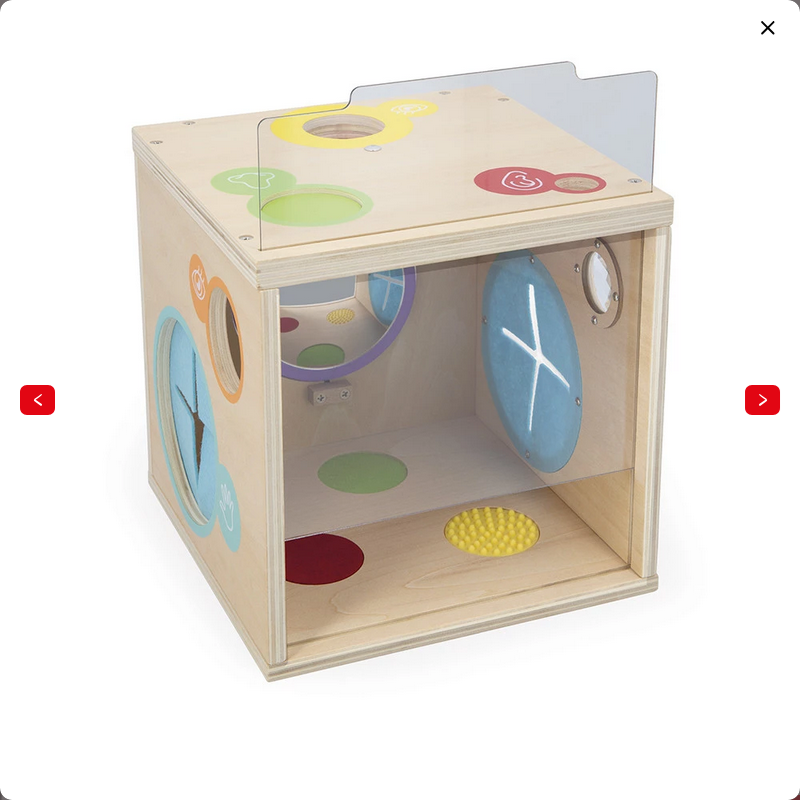 JANOD GIOCO SENSORIALE - SCATOLA SENSORIALE J05307 JANOD GIOCO SENSORIALE - SCATOLA SENSORIALE J05307