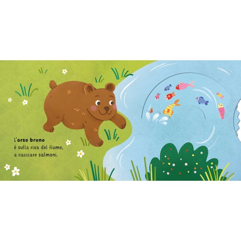 SASSI EDITORE BOARD BOOKS - SOPRI E SCOPRI - IL BOSCO