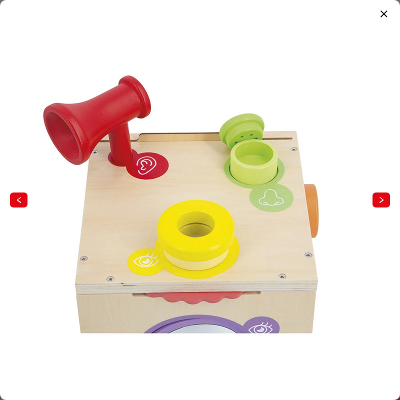 JANOD GIOCO SENSORIALE - SCATOLA SENSORIALE J05307 JANOD GIOCO SENSORIALE - SCATOLA SENSORIALE J05307
