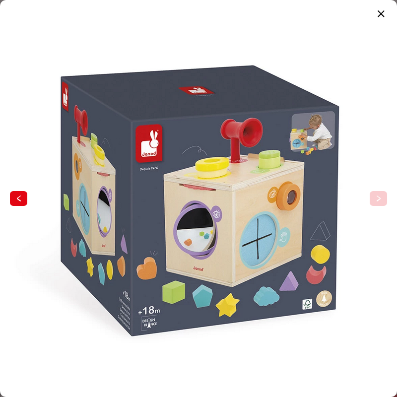 JANOD GIOCO SENSORIALE - SCATOLA SENSORIALE J05307 JANOD GIOCO SENSORIALE - SCATOLA SENSORIALE J05307